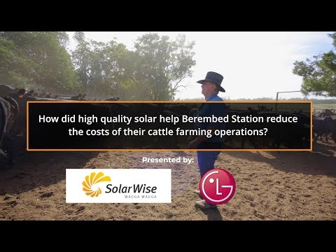 How did high quality solar help Berembed Station reduce the costs of their cattle operations?