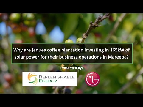 Why are Jaques coffee plantation investing in 165kW of solar power for their business operations?