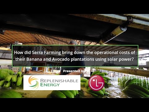 How did Serra Farming bring down the operational costs of their plantations using solar power?